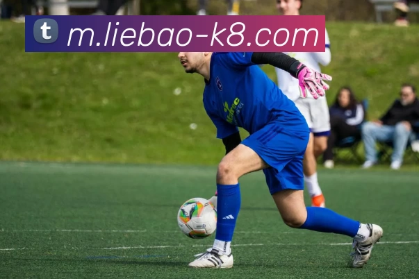 App Interface Preview