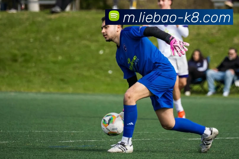 凯发娱乐APP 封面图