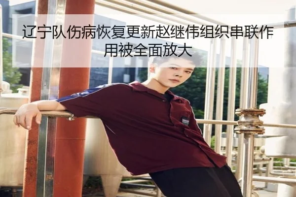 辽宁队伤病恢复更新赵继伟组织串联作用被全面放大